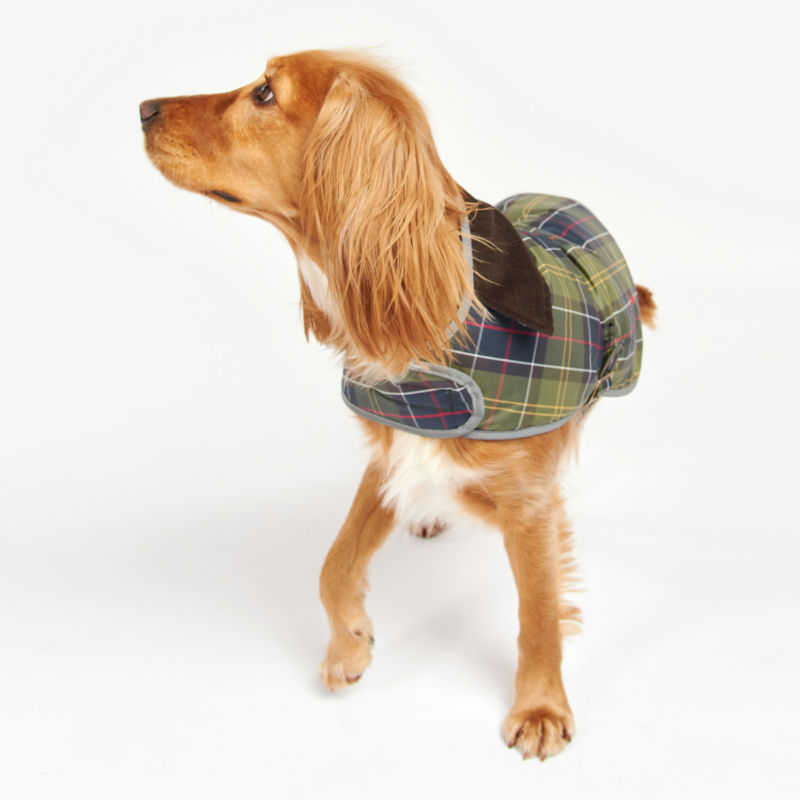 Barbour Wetherham Waterproof Dog Jacket